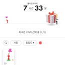 데이블룸