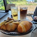 산방산 화장실 | 서귀포카페 산방산 용머리해안도로 뷰맛집 소색채본 방문후기