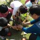 해인어린이집 이미지