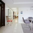 프리마 베라 이미지