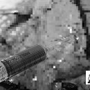 정이동물병원 이미지