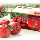 안동한우백화점 이미지