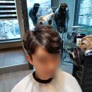 로이드밤구서점