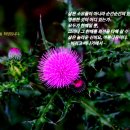 창영농원 이미지