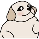 이용철동물병원 이미지