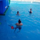 강릉어린이수영교실 이미지