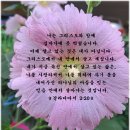 사순절 갈라디아서 2장20절 이미지