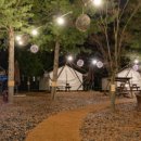 켄싱턴 호텔 평창 글램핑 빌리지 이미지