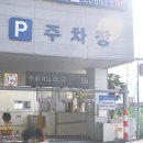 부산 자갈치시장 맛집 푹 빠져들었던 해왕상회 그리고 한월횟집 후기