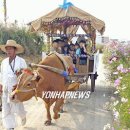소 달구지 이미지