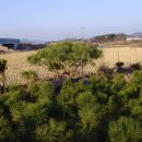 송림농장 이미지