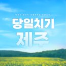 [제주여행]당일치기 제주 여행(삼천포신항 꿀팁, 쏘카 편도 이용 방법, 택시투어 업체 간단 비교 등)