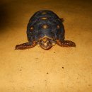 수색-016 이미지