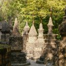 산림욕장 이미지