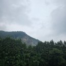 투썸플레이스고복LAKE점 | 세종 ㅣ 고복저수지 산책하며 둘러보기 좋은 대형카페 " 투썸플레이스 고복LAKE점 "