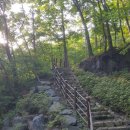 힐링(만인산) 이미지