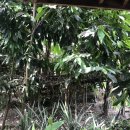 창구농장 이미지