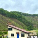 화수목스테이 이미지