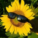 미인미용실 이미지