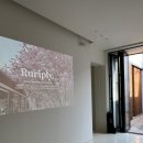 더벙커클럽 | [감성독채펜션 더벙커양평] 서울근교 양평펜션 D동 후기 with.자쿠지