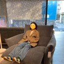 패브릭 소파 원정대(잭슨카멜레온 몬타르 소파, 웬델보 마호 소파, 도이치가구 펜102, 알로소)
