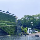 민속자연사 박물관 | 제주도 민속자연사박물관 후기 :)