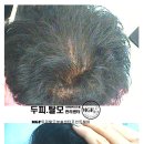 사직2동-24 이미지