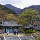 표충사 이미지