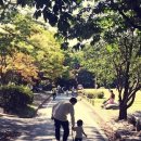 장범준 카카오 검색결과