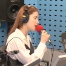 아침거미 이미지