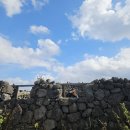 방파제파크 | 우도가 좋다! 4번째 우도여행 주흥동방파제 하고수동해수욕장 섬속의 섬 비양도 검멀레해수욕장