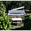 백록농장 이미지