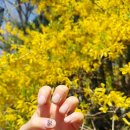 리네일(RE NAIL) | 행신동네일 귀여운 강아지 네일 리네일