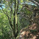 거제애광학교 이미지