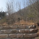 보현, 면봉산 이미지