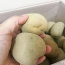 참한유통 이미지