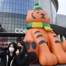 호랑이광장 이미지