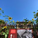 관광여인숙 | 파리 근교 오베르 쉬르 우아즈｜고흐 마을 가는 법, 관람 동선, 당일치기 팁