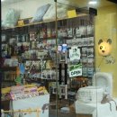 더데일리펫샵 이미지