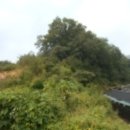 산 목장 이미지