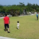 보성춘 이미지