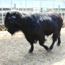 종부농장 이미지