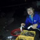 갯벌탐사