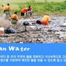 월드클린 이미지