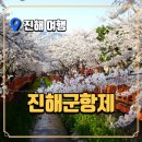 2025 진해 군항제 축제 일정, 위치 및 주차, 투어 추천까지!