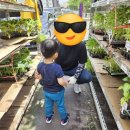 포천농약사 이미지