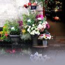 향기가득 이미지