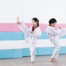 동아대 수월태권도 이미지