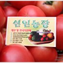 선인농장 이미지