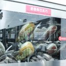 운동화빨래터 이미지